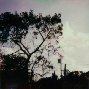 日本呕吐视频长达13分钟
