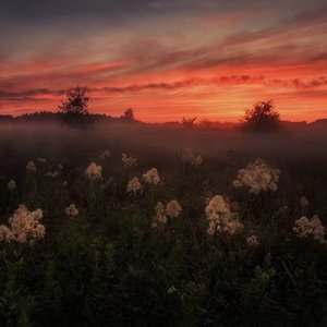 日本呕吐视频长达13分钟
